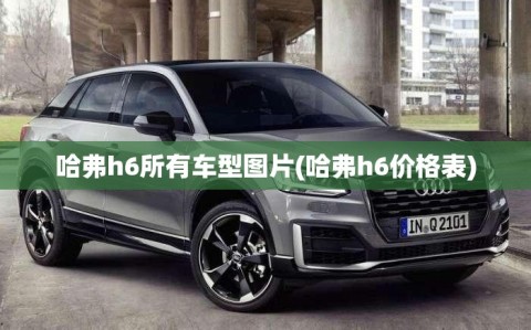 哈弗h6所有车型图片(哈弗h6价格表)
