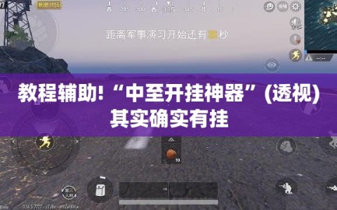 教程辅助!“中至开挂神器”(透视)其实确实有挂