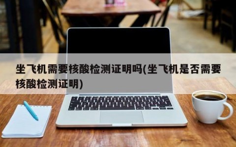 坐飞机需要核酸检测证明吗(坐飞机是否需要核酸检测证明)