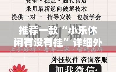 推荐一款“小乐休闲有没有挂”详细外挂透视辅助软件教程