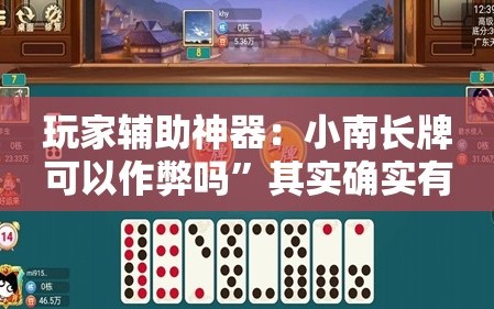 玩家辅助神器：小南长牌可以作弊吗”其实确实有挂