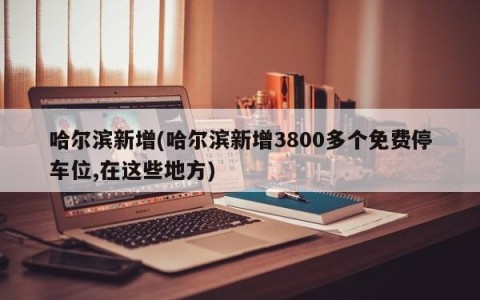 哈尔滨新增(哈尔滨新增3800多个免费停车位,在这些地方)