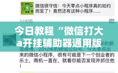 今日教程“微信打大a开挂辅助器通用版”详细开挂教程