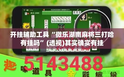 开挂辅助工具“微乐湖南麻将三打哈有挂吗”(透视)其实确实有挂