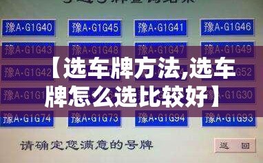 【选车牌方法,选车牌怎么选比较好】