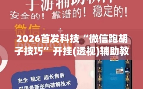 2026首发科技“微信跑胡子技巧”开挂(透视)辅助教程