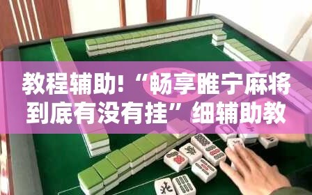 教程辅助!“畅享睢宁麻将到底有没有挂”细辅助教程分享