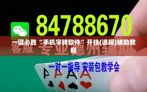 一键必胜“手机字牌软件”开挂(透视)辅助教程