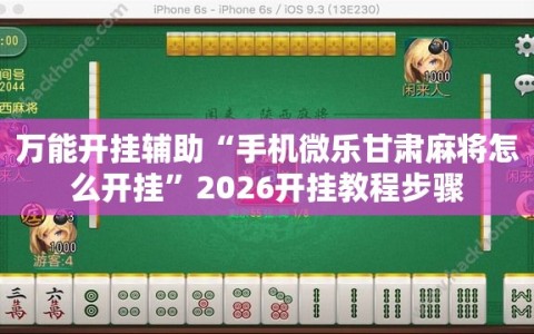万能开挂辅助“手机微乐甘肃麻将怎么开挂”2026开挂教程步骤