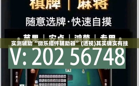 实测辅助“微乐插件辅助器”(透视)其实确实有挂
