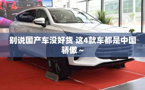 别说国产车没好货 这4款车都是中国骄傲～