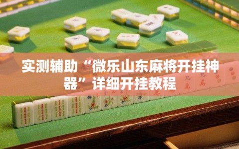 实测辅助“微乐山东麻将开挂神器”详细开挂教程