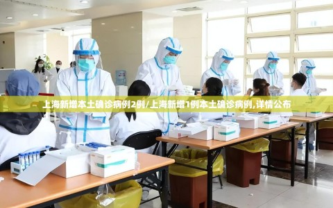 上海新增本土确诊病例2例/上海新增1例本土确诊病例,详情公布