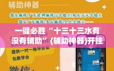 一键必胜“十三十三水有没有辅助”(辅助神器)开挂详细教程