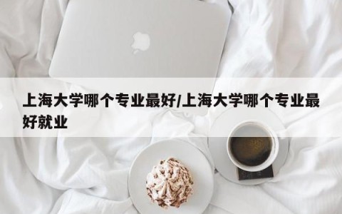 上海大学哪个专业最好/上海大学哪个专业最好就业