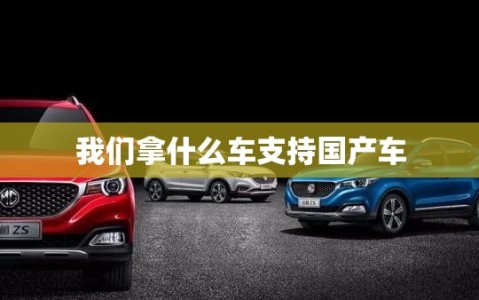 我们拿什么车支持国产车