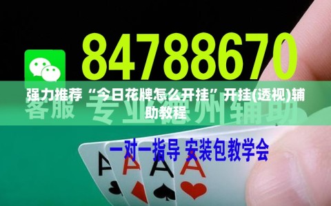 强力推荐“今日花牌怎么开挂”开挂(透视)辅助教程