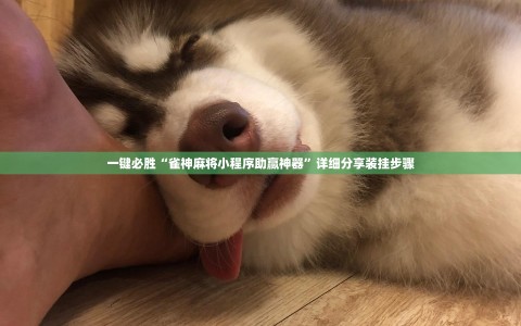 一键必胜“雀神麻将小程序助赢神器”详细分享装挂步骤