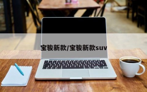 宝骏新款/宝骏新款suv