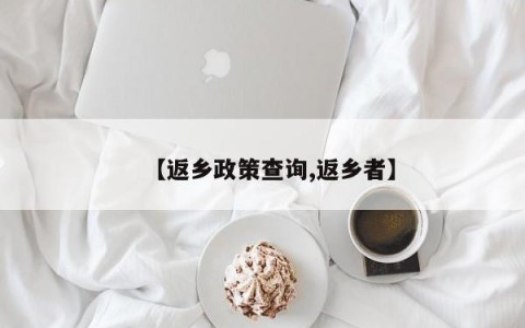 【返乡政策查询,返乡者】