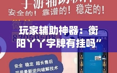 玩家辅助神器：衡阳丫丫字牌有挂吗”(透视挂)辅助下载教程
