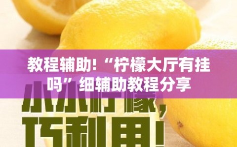 教程辅助!“柠檬大厅有挂吗”细辅助教程分享