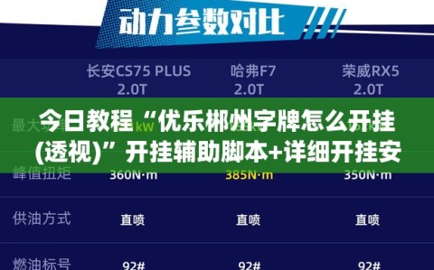 今日教程“优乐郴州字牌怎么开挂(透视)”开挂辅助脚本+详细开挂安装教程