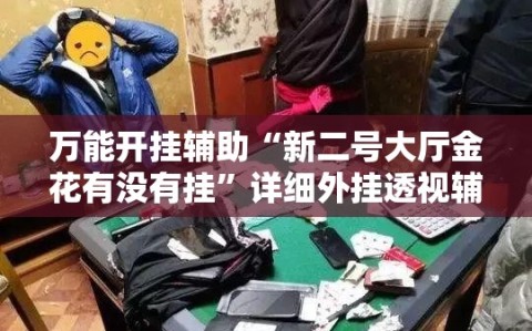 万能开挂辅助“新二号大厅金花有没有挂”详细外挂透视辅助软件教程