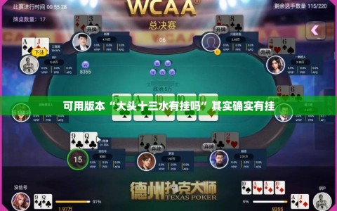 可用版本“大头十三水有挂吗”其实确实有挂