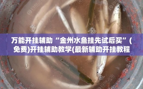 万能开挂辅助“金州水鱼挂先试后买”(免费)开挂辅助教学(最新辅助开挂教程)