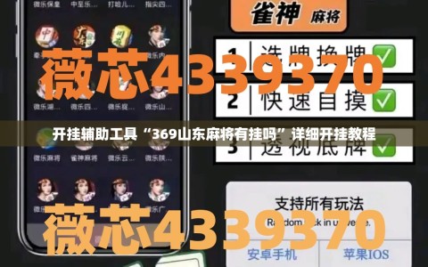 开挂辅助工具“369山东麻将有挂吗”详细开挂教程