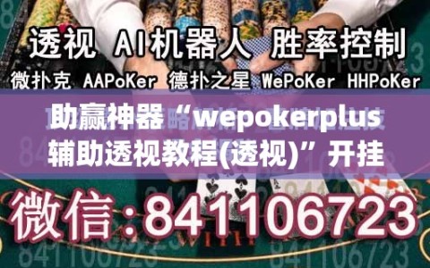助赢神器“wepokerplus辅助透视教程(透视)”开挂辅助脚本+详细开挂安装教程