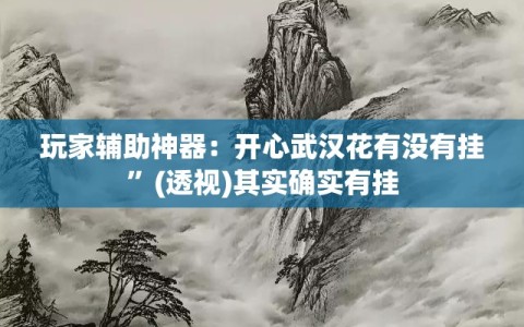 玩家辅助神器：开心武汉花有没有挂”(透视)其实确实有挂