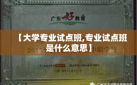 【大学专业试点班,专业试点班是什么意思】