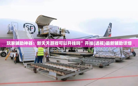 玩家辅助神器：新天天游戏可以开挂吗”开挂(透视)最新辅助详细