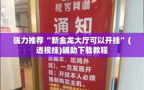 强力推荐“新金龙大厅可以开挂”(透视挂)辅助下载教程
