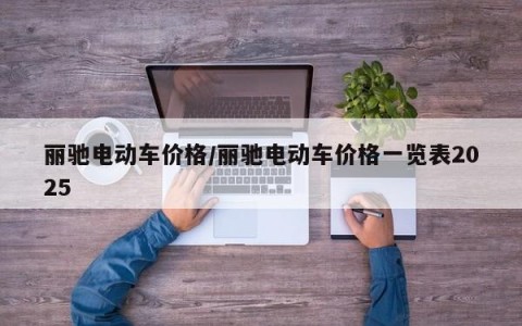 丽驰电动车价格/丽驰电动车价格一览表2025