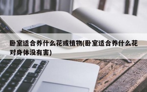 卧室适合养什么花或植物(卧室适合养什么花对身体没有害)
