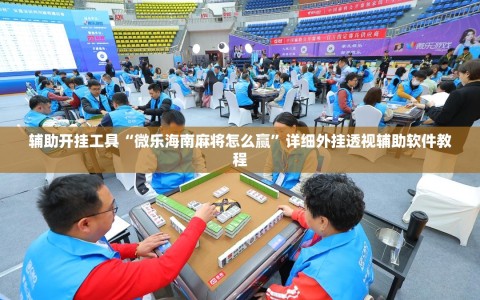 辅助开挂工具“微乐海南麻将怎么赢”详细外挂透视辅助软件教程