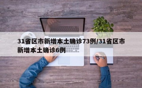 31省区市新增本土确诊73例/31省区市新增本土确诊6例