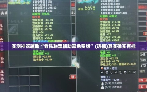 实测神器辅助“老铁联盟辅助器免费版”(透视)其实确实有挂