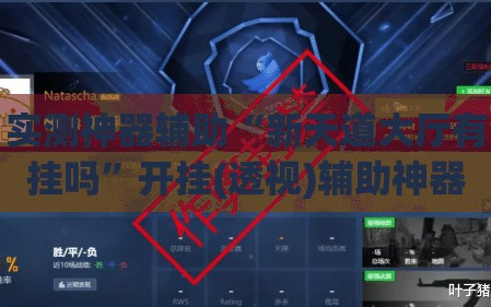 实测神器辅助“新天道大厅有挂吗”开挂(透视)辅助神器