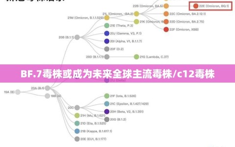 BF.7毒株或成为未来全球主流毒株/c12毒株