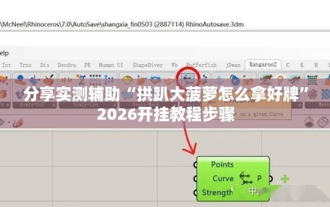 分享实测辅助“拱趴大菠萝怎么拿好牌”2026开挂教程步骤