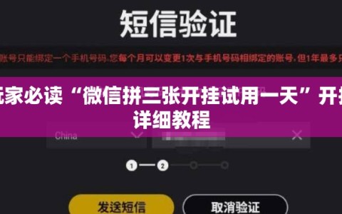 玩家必读“微信拼三张开挂试用一天”开挂详细教程