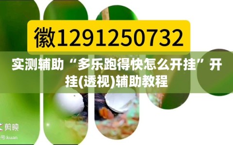 实测辅助“多乐跑得快怎么开挂”开挂(透视)辅助教程