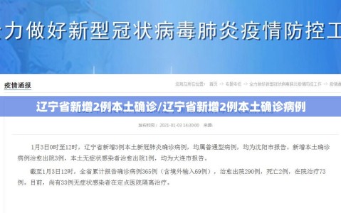 辽宁省新增2例本土确诊/辽宁省新增2例本土确诊病例