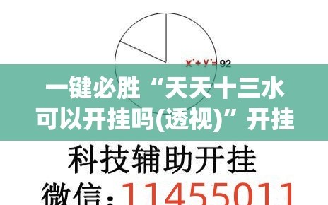 一键必胜“天天十三水可以开挂吗(透视)”开挂辅助脚本+详细开挂安装教程