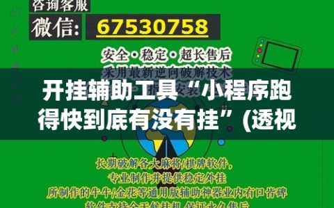 开挂辅助工具“小程序跑得快到底有没有挂”(透视)其实确实有挂