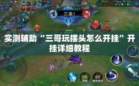 实测辅助“三哥玩摆头怎么开挂”开挂详细教程